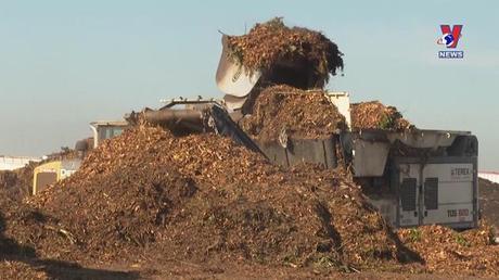 Cuộc sống xanh ngày 10/7/2022