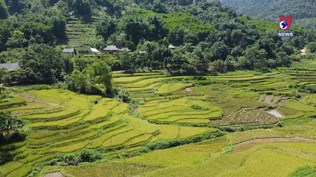 Nhật trình kinh tế ngày 11/7/2022