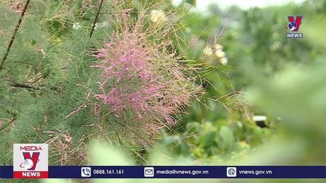 Bản tin thời sự 06h ngày 11/7/2022