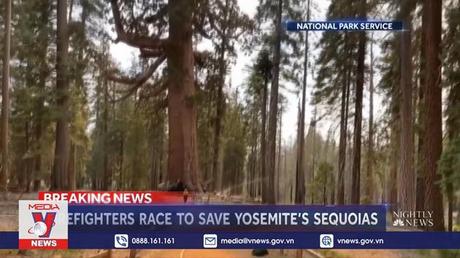 Cháy rừng đe dọa vườn quốc gia nổi tiếng Yosemite của Mỹ