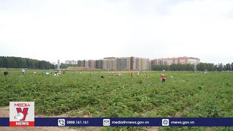 Việt Nam tham gia Ngày thứ 7 cộng sản tại LB Nga