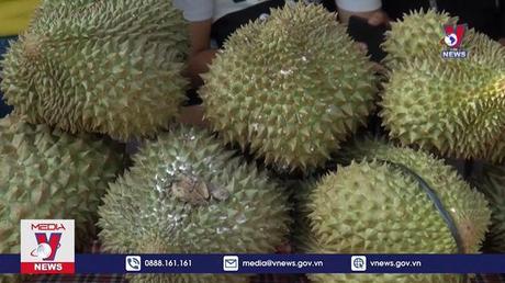 Sầu riêng chính thức được xuất khẩu sang Trung Quốc