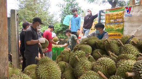 Bản tin tiếng Trung ngày 12/7/2022