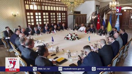 Nối lại đàm phán về xuất khẩu ngũ cốc của Ukraine