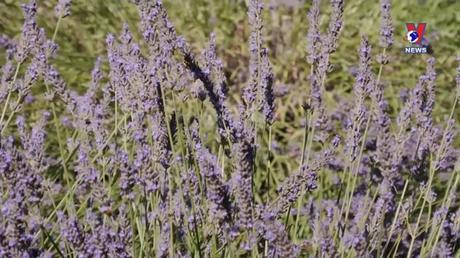 Nhật trình kinh tế ngày 14/7/2022