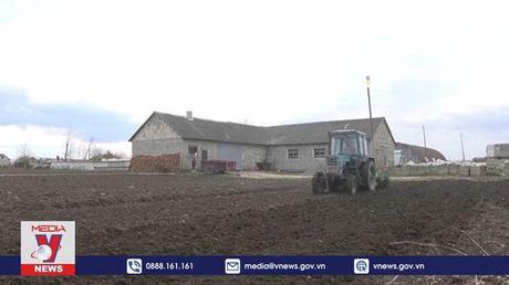 Tiến triển trong đàm phán nối lại xuất khẩu ngũ cốc Ukraine