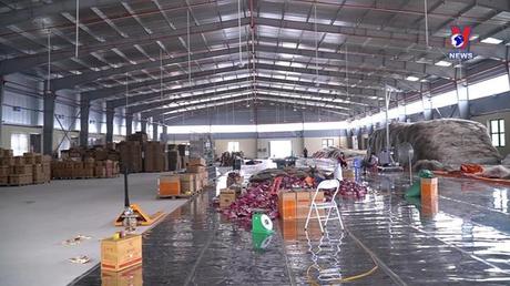 Nhật trình kinh tế ngày 15/7/2022