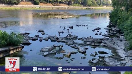 Nắng nóng làm khô cạn sông dài nhất Italy