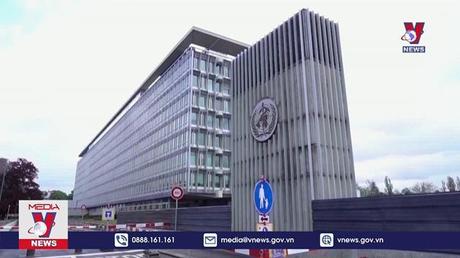 WHO triệu tập họp lần 2 về bệnh đậu mùa khỉ