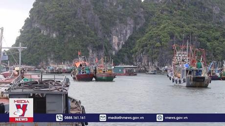 Tàu cá Quảng Ninh vươn khơi trở lại