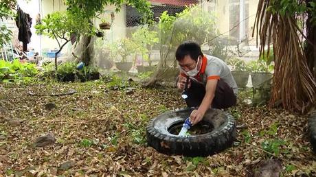 Ninh Bình tăng cường ứng phó với dịch sốt xuất huyết 
