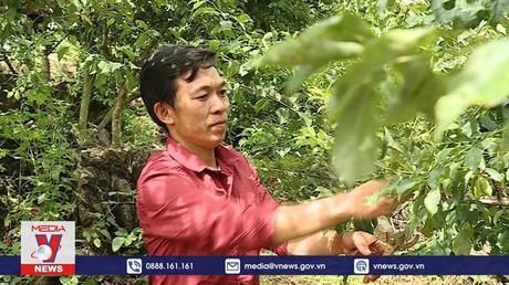 Vun đắp nghĩa tình nơi biên giới