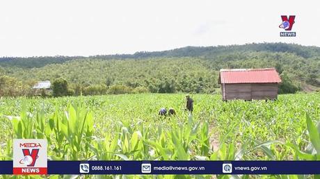 Ngăn chặn mua bán người qua biên giới | Bài 3: Để Tây Nguyên mãi bình yên