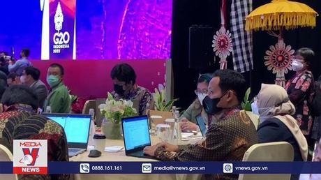 Các bộ trưởng tài chính G20 đồng thuận về an ninh lương thực