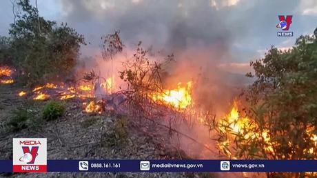 Đốt thực bì gây cháy lớn ở núi Vũng Chua, Quy Nhơn