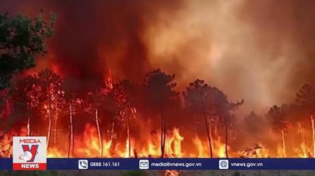 Cháy rừng bùng phát tại Nam Âu do nắng nóng