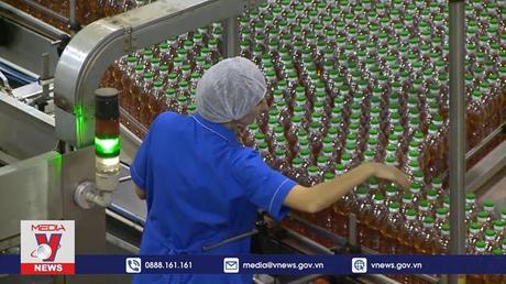 Nga tăng hạn ngạch xuất khẩu dầu hướng dương