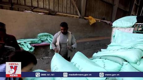 Ai Cập tìm cách đa dạng hóa nguồn nhập khẩu lúa mì