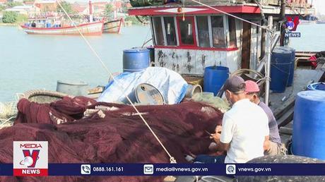 Giá dầu “hạ nhiệt”, ngư dân tăng cường vươn khơi bám biển