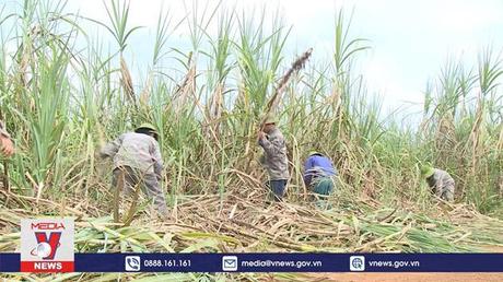 Lào là thị trường FDI lớn nhất của Việt Nam