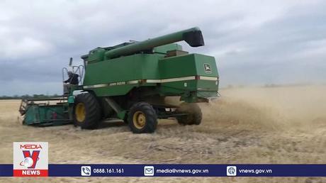 Nga, Thổ Nhĩ Kỳ đạt thỏa thuận về vận chuyển lúa mỳ ở Ukraine