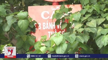 TP.HCM xử lý biển báo giao thông bị che khuất