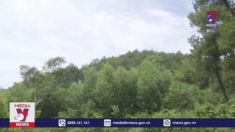 Tăng cường phòng chống cháy rừng mùa nắng nóng