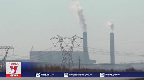 EU tăng mạnh nhập khẩu than đá từ Nam Phi