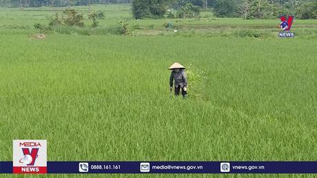 Bản tin Thời sự 13h ngày 21/7/2022