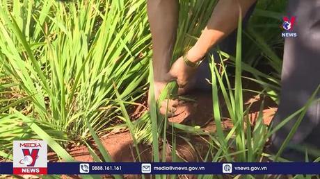 Bản tin Thời sự 8h ngày 21/7/2022