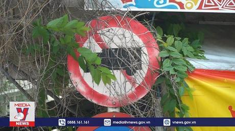 Hàng loạt biển báo ở TP.HCM bị che khuất