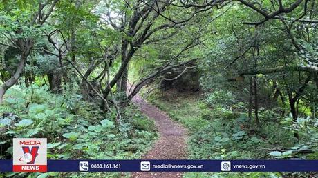 Đảo Jeju, Hàn Quốc phát triển mô hình du lịch Sound Walk