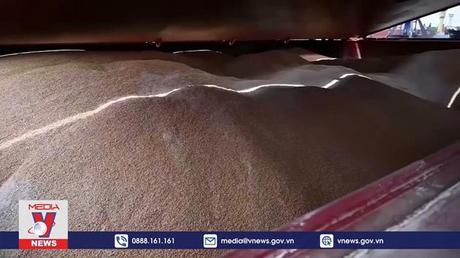 Nga xác nhận về thỏa thuận xuất khẩu ngũ cốc của Ukraine