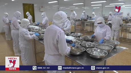 Trung Quốc nới quy định chống dịch với hàng thủy sản Việt Nam