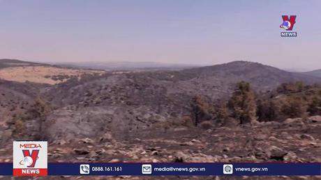 Cháy rừng tại châu Âu nghiêm trọng hơn năm 2021