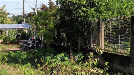 Một bé trai 8 tuổi bị chó Pitbull cắn tử vong