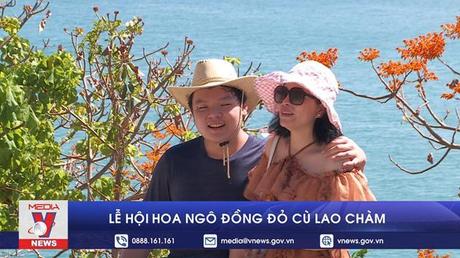 Lễ hội hoa ngô đồng đỏ Cù lao Chàm