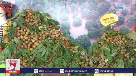 Nhãn Sông Mã – Thương hiệu, uy tín, khát vọng vươn xa