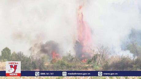 WHO cảnh báo về biến đổi khí hậu ở châu Âu