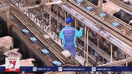 Thủ tướng thăm Tập đoàn TH