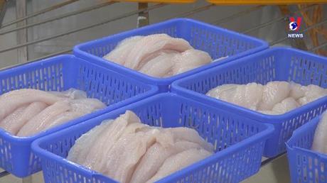 Bản tin tiếng Pháp ngày 24/7/2022