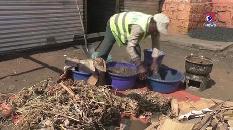 Cuộc sống Xanh ngày 24/7/2022