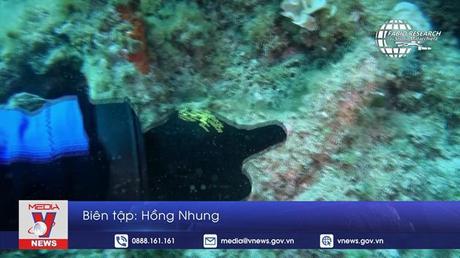 Phát hiện cổ vật La Mã 2.000 năm ngoài khơi Italy