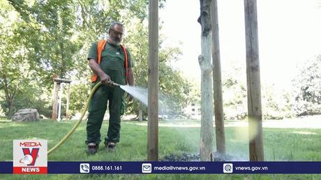 Công đoàn Châu Âu kêu gọi bảo vệ lao động làm việc ngoài trời