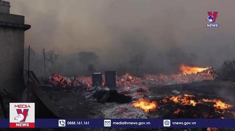 Hy Lạp chật vật đối phó với cháy rừng và nắng nóng