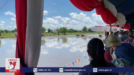 Sôi động lễ hội đua trâu ở Thái Lan