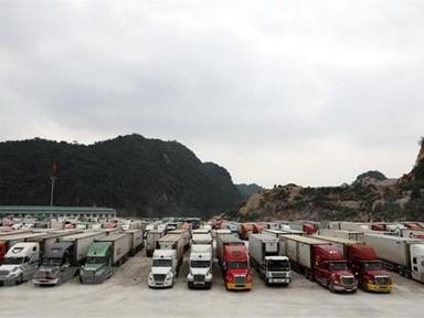 Phát hành Cẩm nang hướng dẫn xuất khẩu rau quả sang Trung Quốc