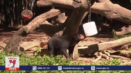 Giải pháp chống nóng ngày hè cho động vật