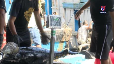 Bản tin tiếng Trung ngày 26/7/2022