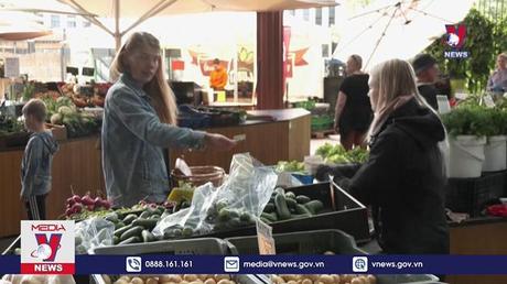 IMF hạ dự báo tăng trưởng kinh tế toàn cầu